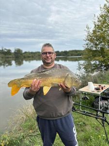 Mirror Carp