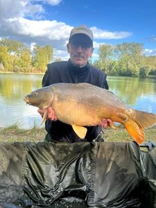 Mirror Carp