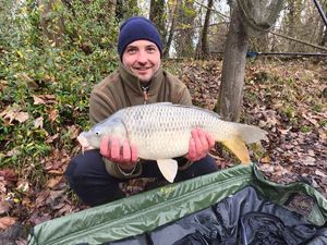Common Carp