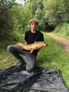 Common Carp