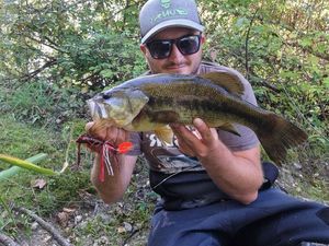 Largemouth Bass