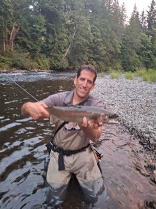 Rainbow Trout