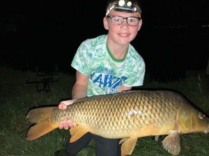 Common Carp