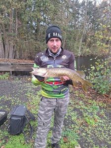 Northern Pike