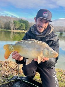 Mirror Carp