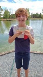 Prussian Carp