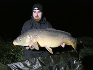 Common Carp