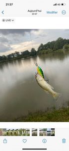 Largemouth Bass