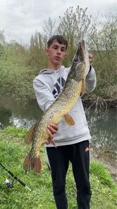 Northern Pike