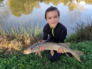 Northern Pike