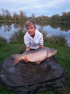 Mirror Carp