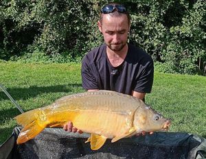 Mirror Carp