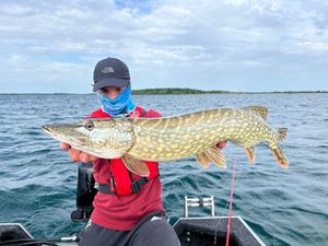 Northern Pike