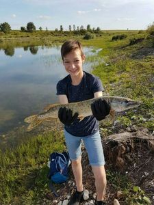 Northern Pike