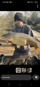 Common Carp