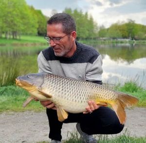 Common Carp