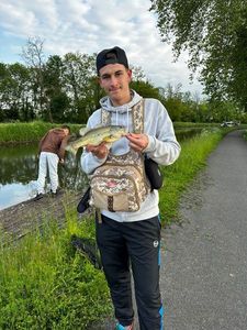 Largemouth Bass