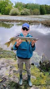Northern Pike