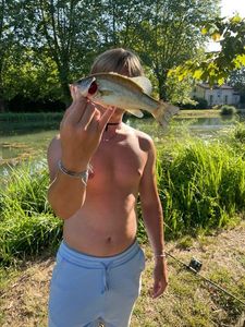 Largemouth Bass