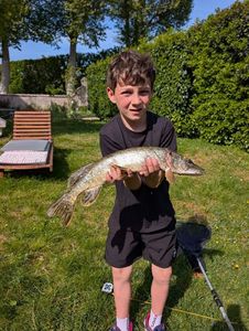 Northern Pike