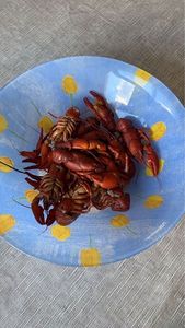 Spinycheek Crayfish