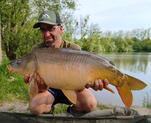 Mirror Carp