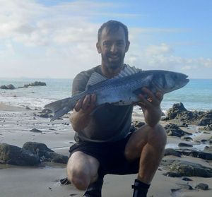 European Bass (Seabass)