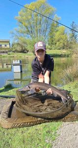 Sturgeon