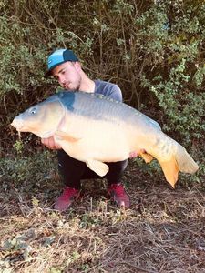 Mirror Carp