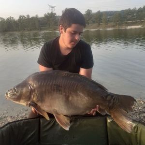 Leather Carp