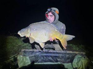 Mirror Carp