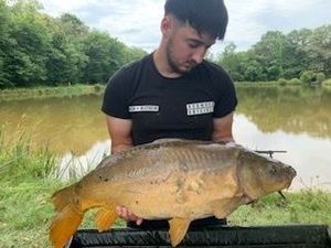 Mirror Carp