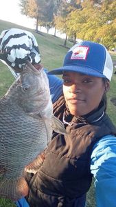 White Crappie
