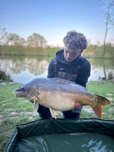 Mirror Carp