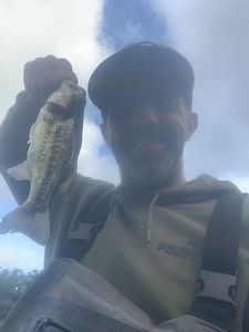 Largemouth Bass