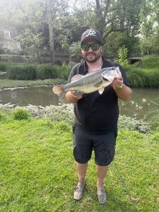 Largemouth Bass