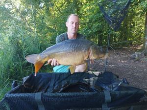 Mirror Carp