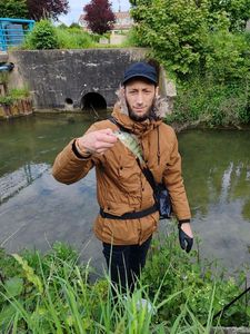 European Perch