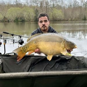 Leather Carp