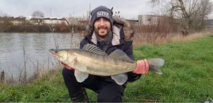 Zander