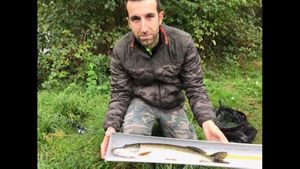 Northern Pike