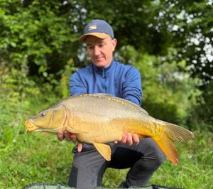 Mirror Carp
