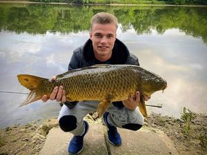 Common Carp