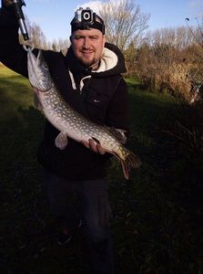 Northern Pike