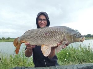 Common Carp
