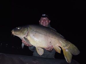 Mirror Carp