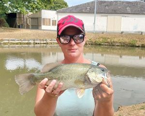 Largemouth Bass