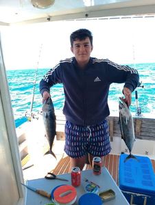 Skipjack Tuna