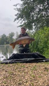 Mirror Carp