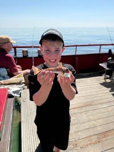 Sand Sole